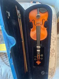 Violino