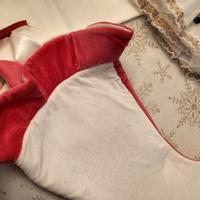 Vestito carnevale 