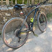 Mtb carbonio 29