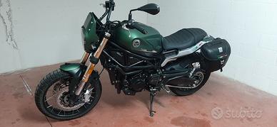 Benelli leoncino 800