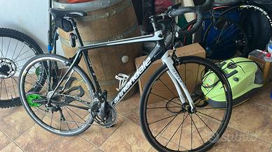 sinapse cannondale