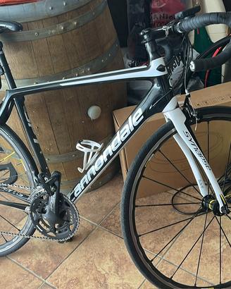 sinapse cannondale