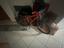 Immagine 2