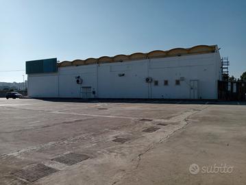 Capannone commerciale