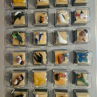 Vetri di murano 24 animali uccelli 