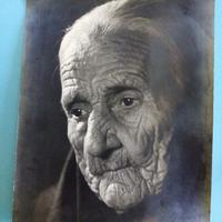 Ritratto anziana donna, Quinto Albicocco. 