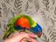 Immagine 1