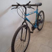 Bicicletta Alpine 26