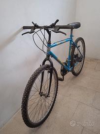 Bicicletta Alpine 26