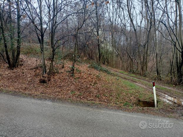 Terreno a bosco ceduo