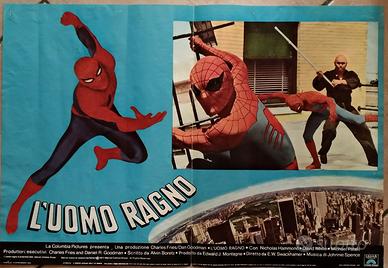 Foto busta UOMO RAGNO COLPISCE ANCORA 2