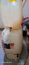 BOTTI MATURAZIONE MOSTO PAGANI 200 E 100 LITRI