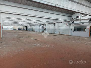 CAPANNONE A CARONNO PERTUSELLA