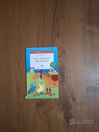 Libro per bambini "Un campione alla fattoria"