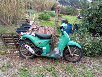 Parti di ricambio scarabeo 50cc