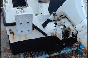 barca Acquaviva Suzuki 4t 40/60