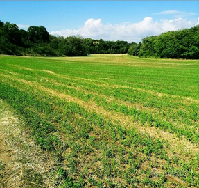 Terreno agricolo in posizione strategica