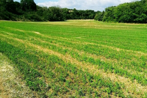 Terreno agricolo in posizione strategica