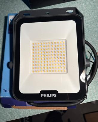 Faretto led philips 50w 4000k