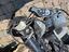 Immagine 6