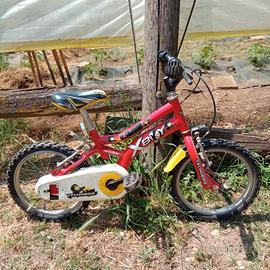 Bicicletta bimbo 5-8 anni.