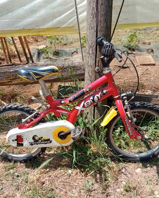 Bicicletta bimbo 5-8 anni.