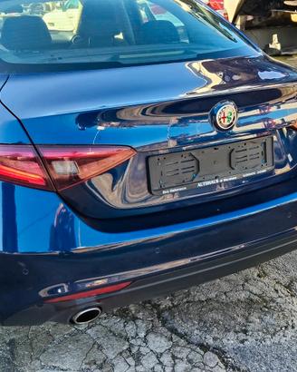 Ricambi Alfa Romeo Giulia 2.2 jtdm 