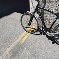 bici elettrica Emotion Urban 700