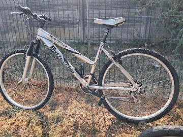 bicicletta bottecchia