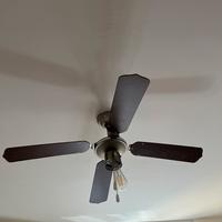 Due lampadari  a soffitto con ventole (prov VA)