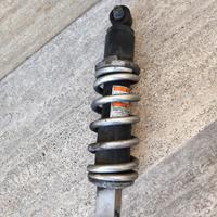 Ammortizzatore Z750 