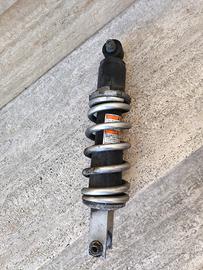 Ammortizzatore Z750 