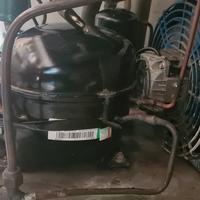 compressore  frigo