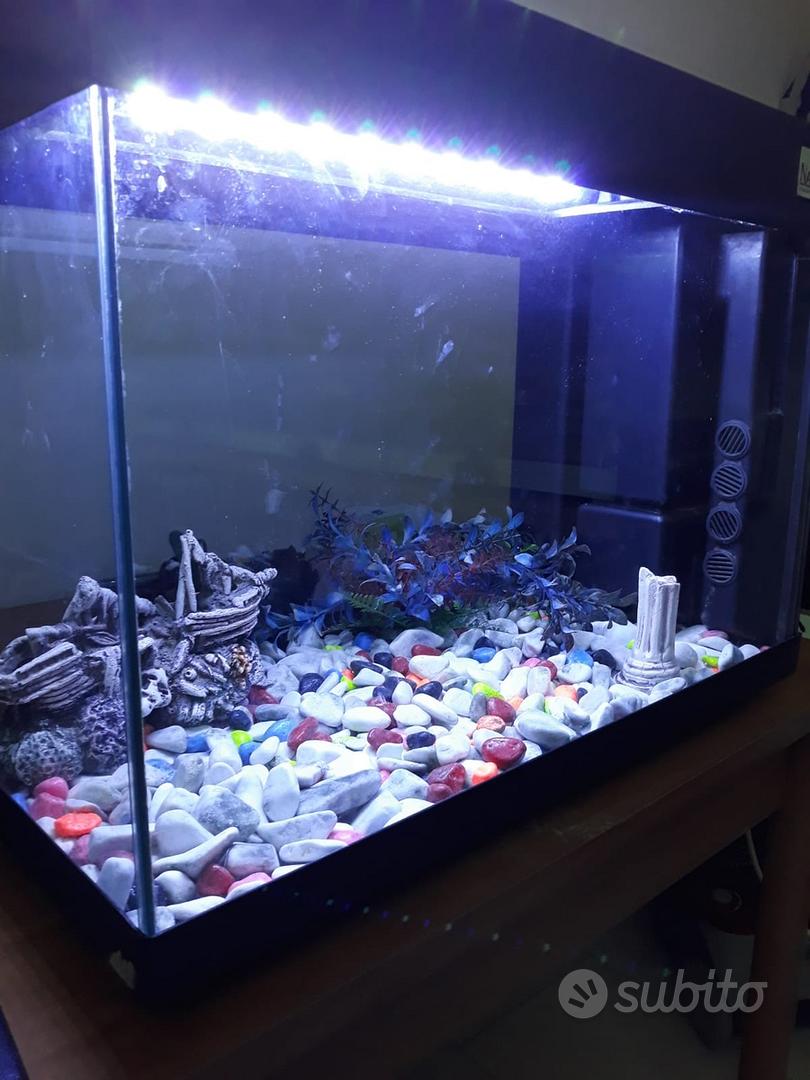 Lampada acquario - Arredamento e Casalinghi In vendita a Milano