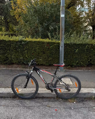 MOUNTAIN BIKE WILIER TRIESTINA PLATINO TAGLIA S