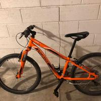 mountain bike specialized da bambino