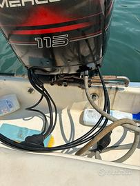 Mercury 115 HP ricambi ricerco