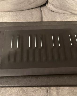Roli Seaboard 25 con scatola originale