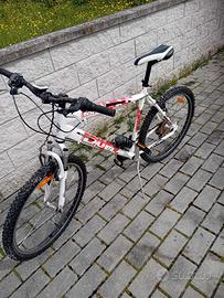 bicicletta bianchi 