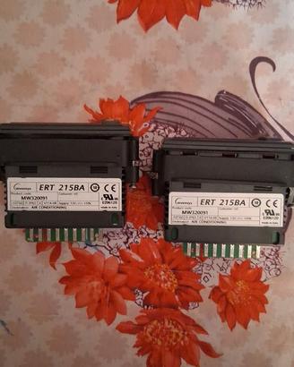 controllori elettronici