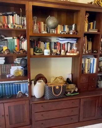 Parete attrezzata utilizzabile anche come libreria