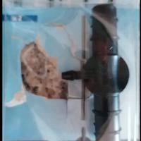 Articoli per microirrigazione giardino/terrazzo