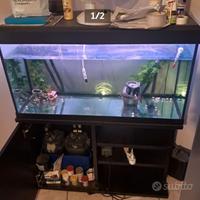 Acquario 180l