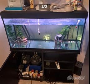 Acquario 180l