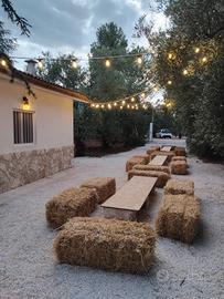 Casa in campagna tra uliveto e vigneti