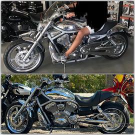 Harley Davidson Vrod 2003 Centenario