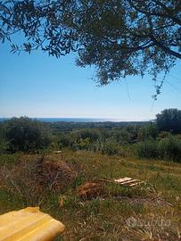Terreno agricolo vista mare