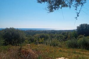Terreno agricolo vista mare