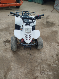 Quad 110cc