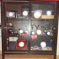 Vetrina Ikea Havsta rovere moro (ante scorrevoli)